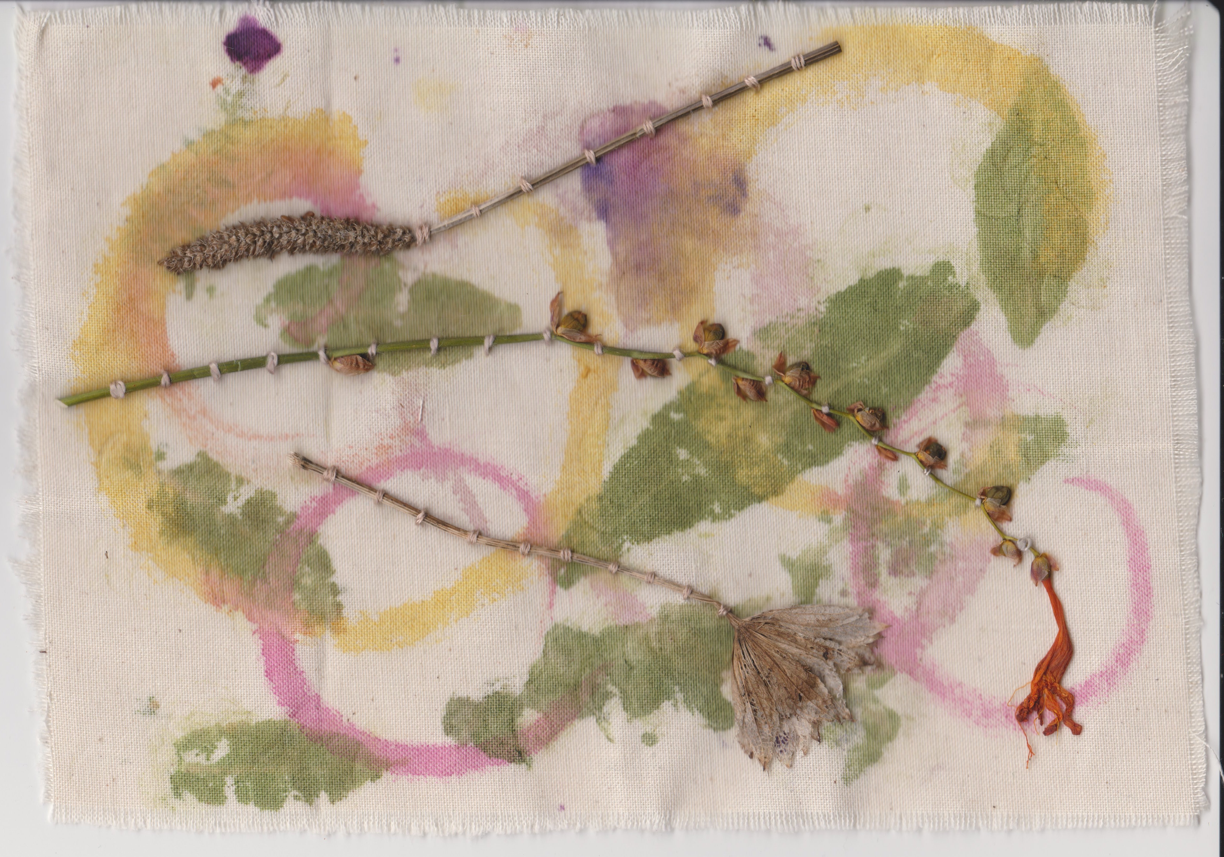 A piece of off-white calico has been painted with abstract interlocking circles in yellows and pinks. On top of this, ecoprinting with leaves and berries has resulted in green leaf shapes and mottled purples dotted around the background. In the foreground, dried seed heads and flower stems have been embroidered onto the surface using couching stitch.